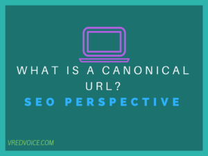 what is a canonical url in terms of SEO perspective